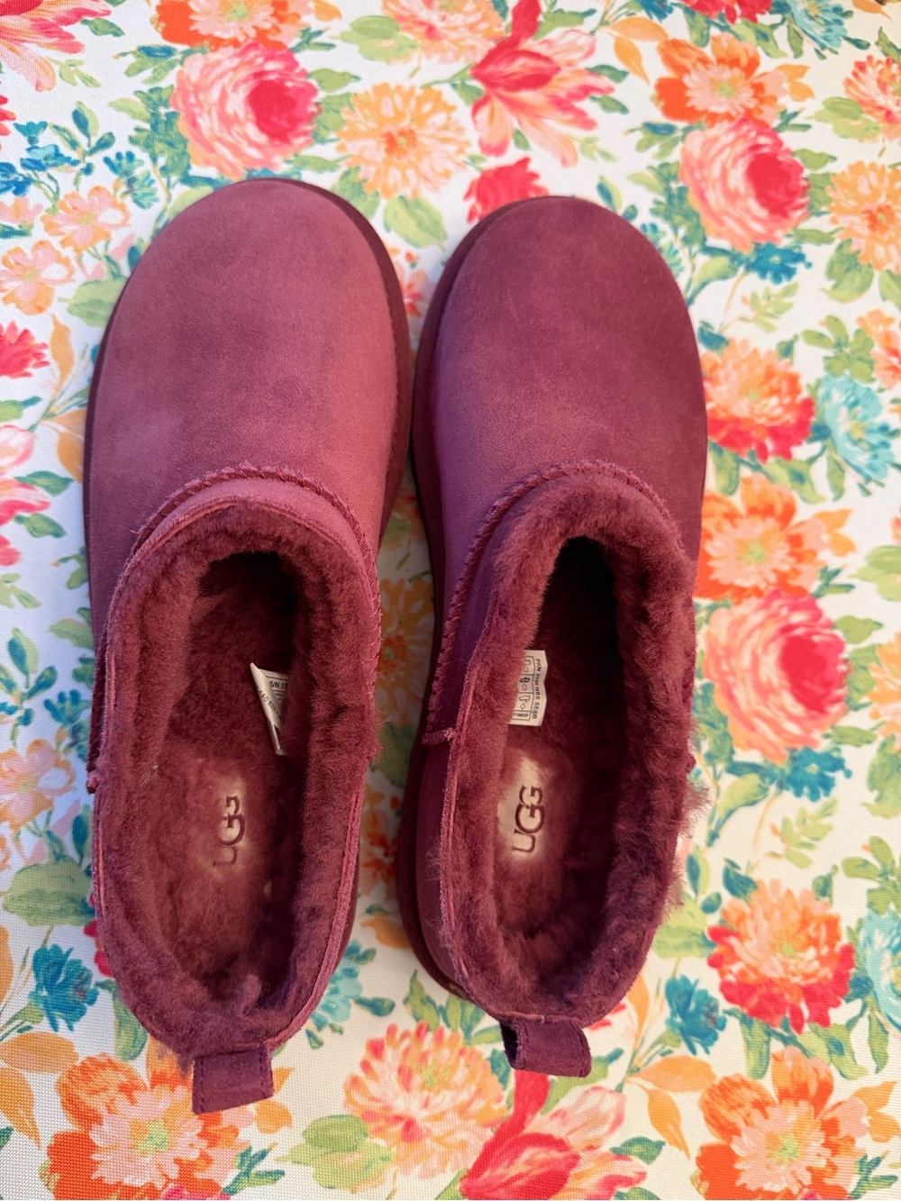 UGG Women’s Micro Mini in Burnt Magenta